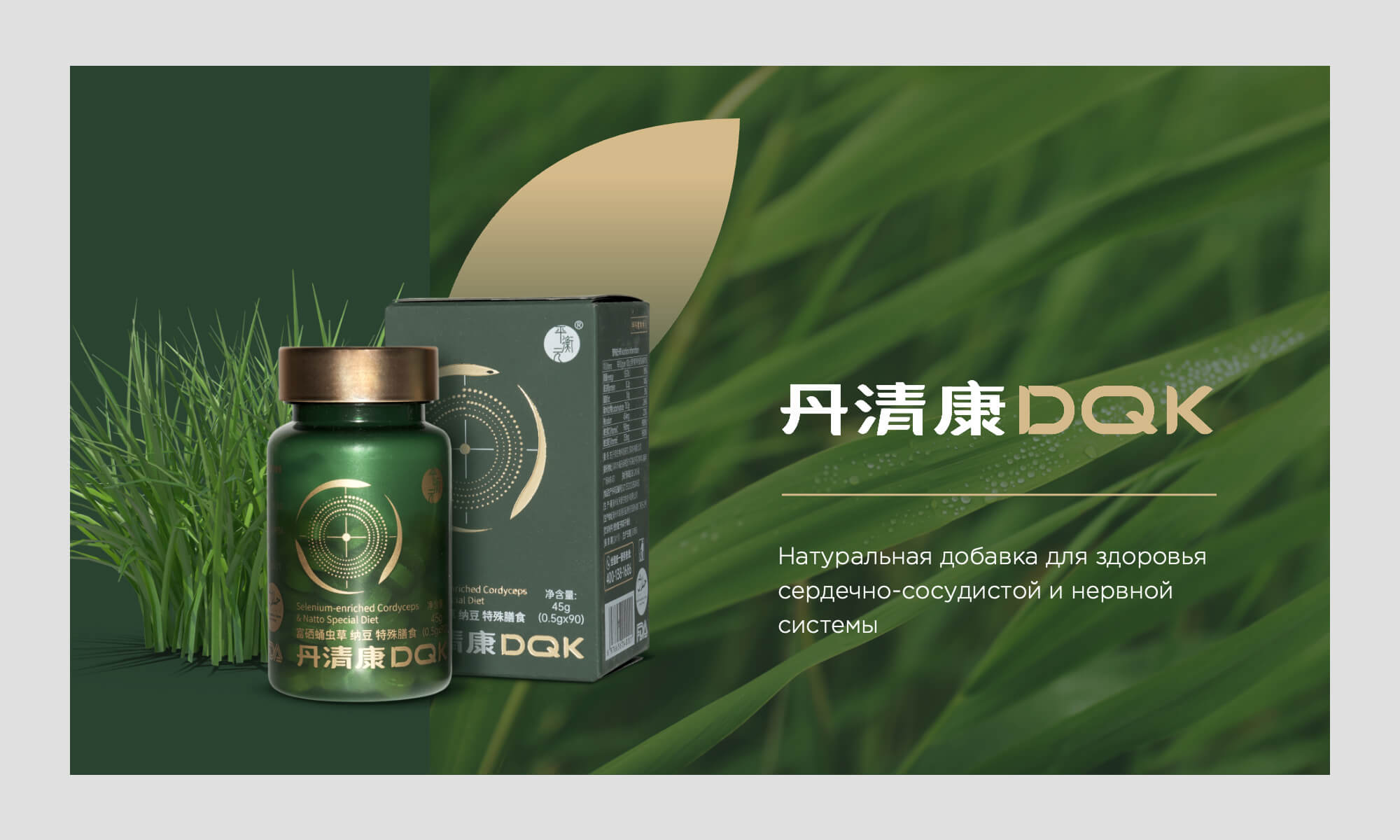 презентация бады