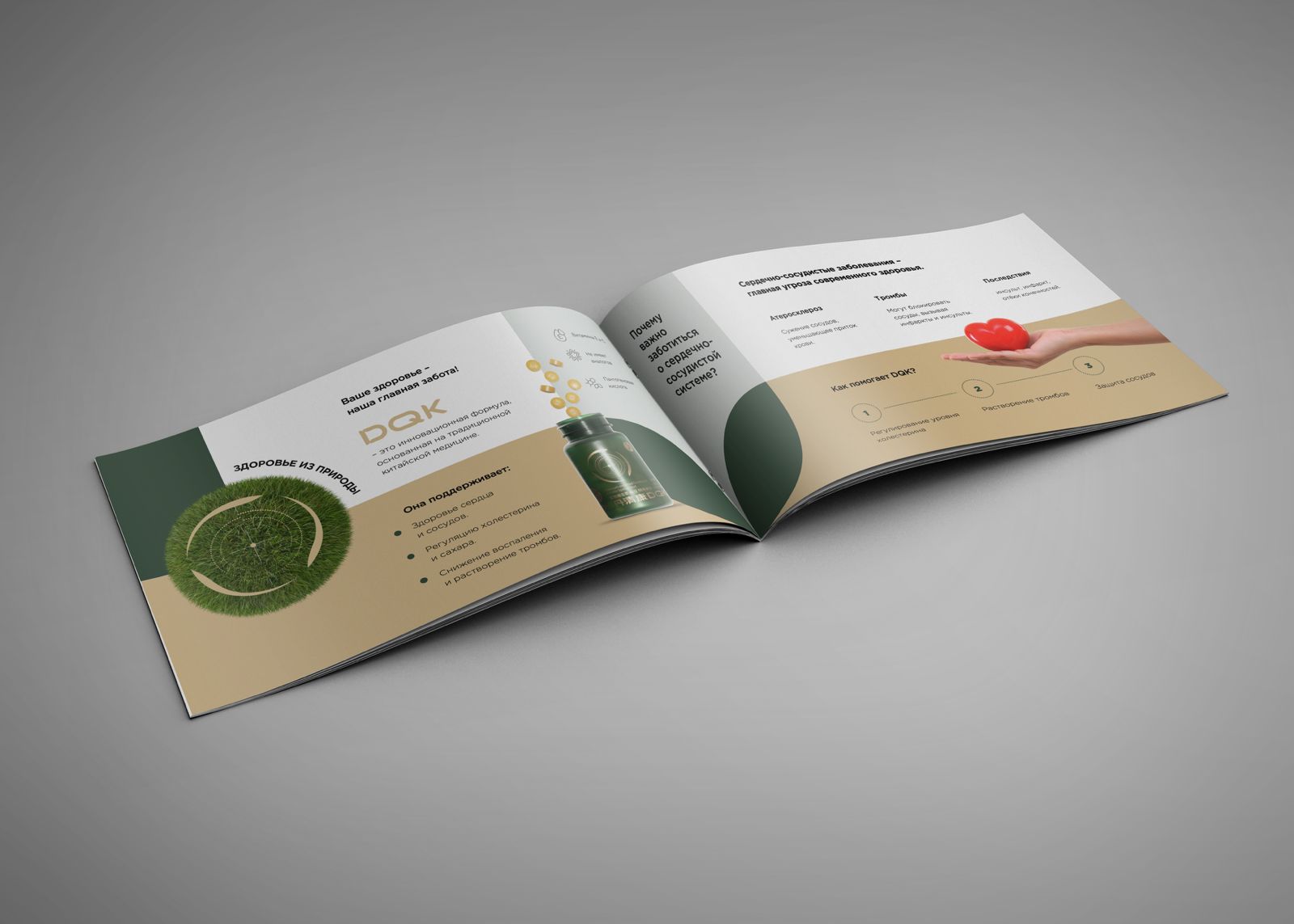 презентация бады