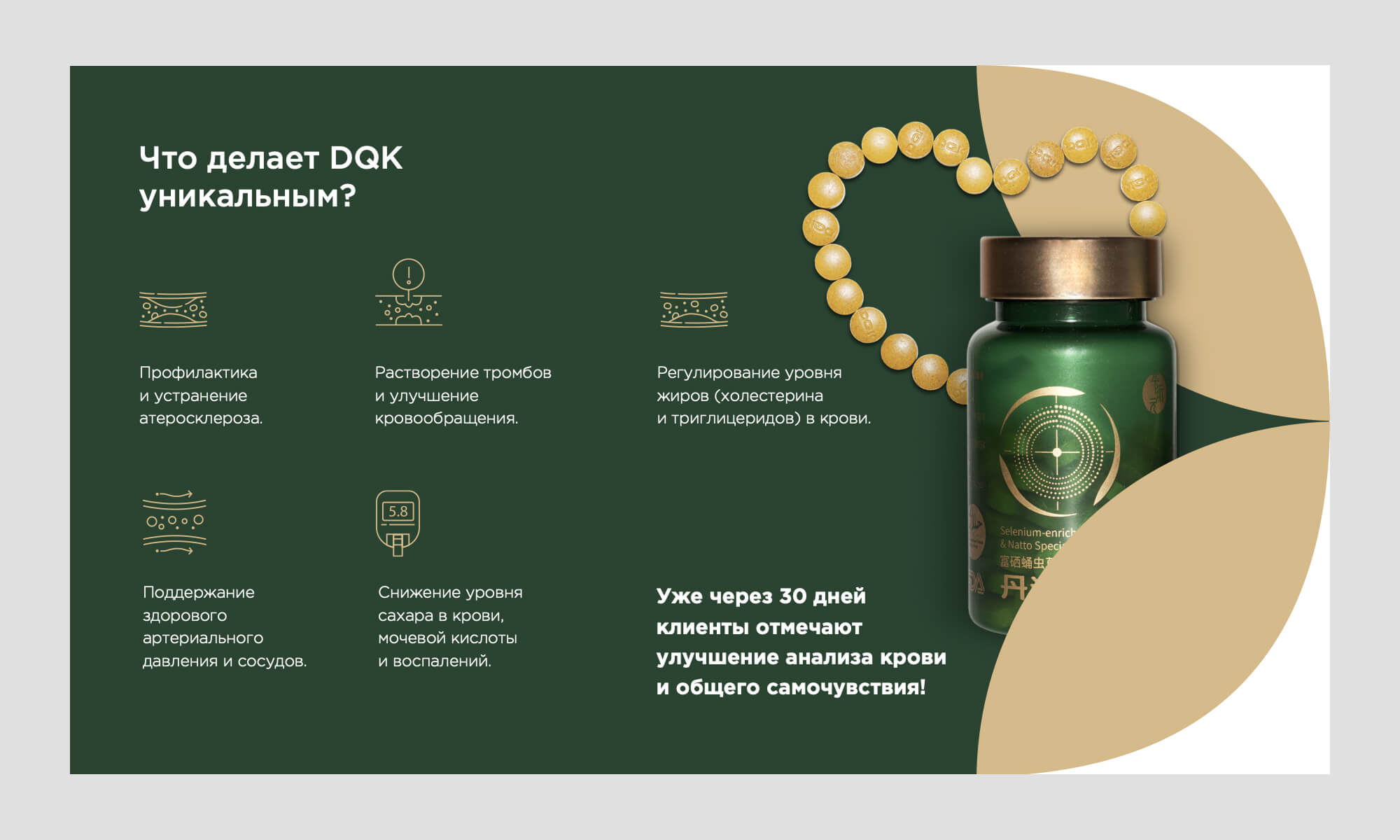 презентация DQK