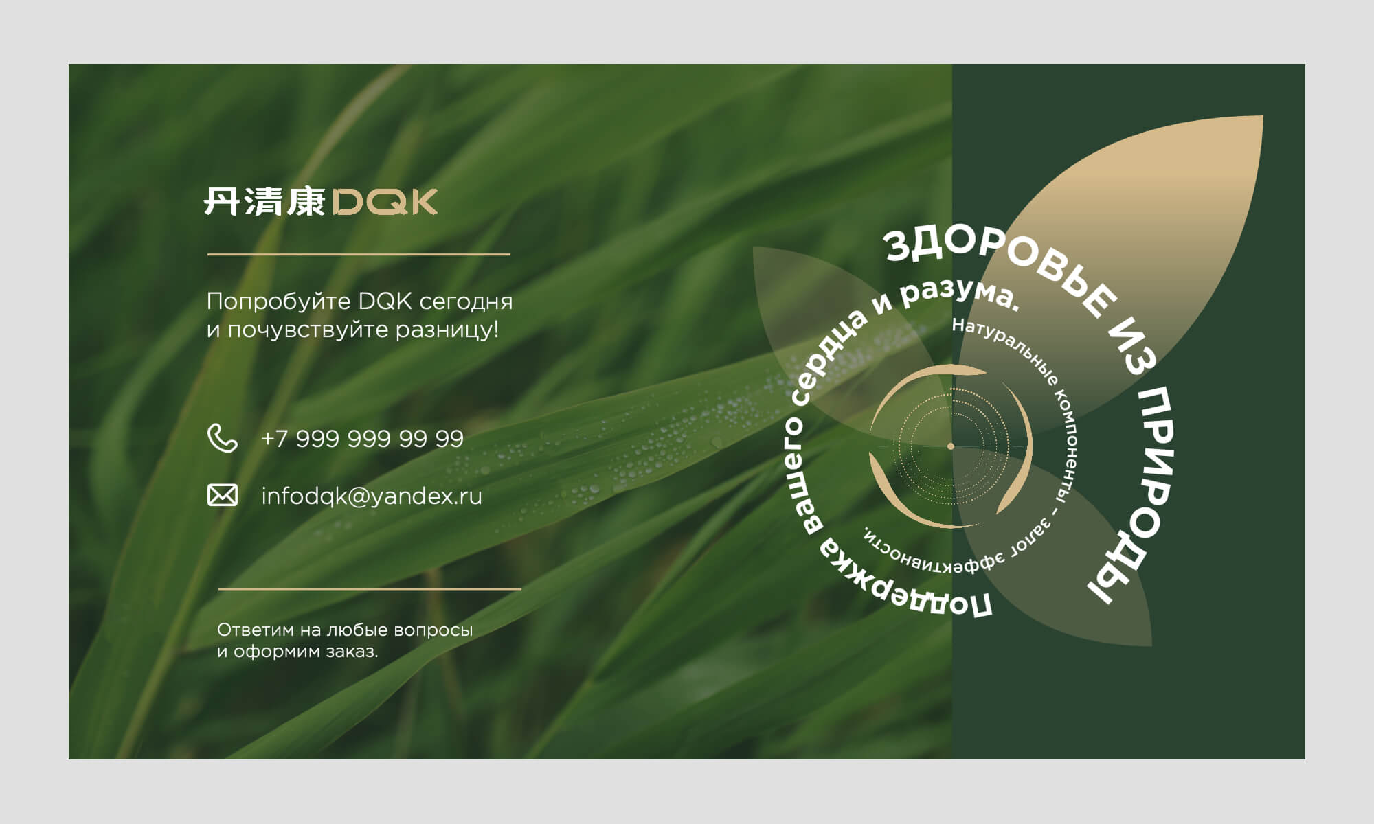 презентация бады