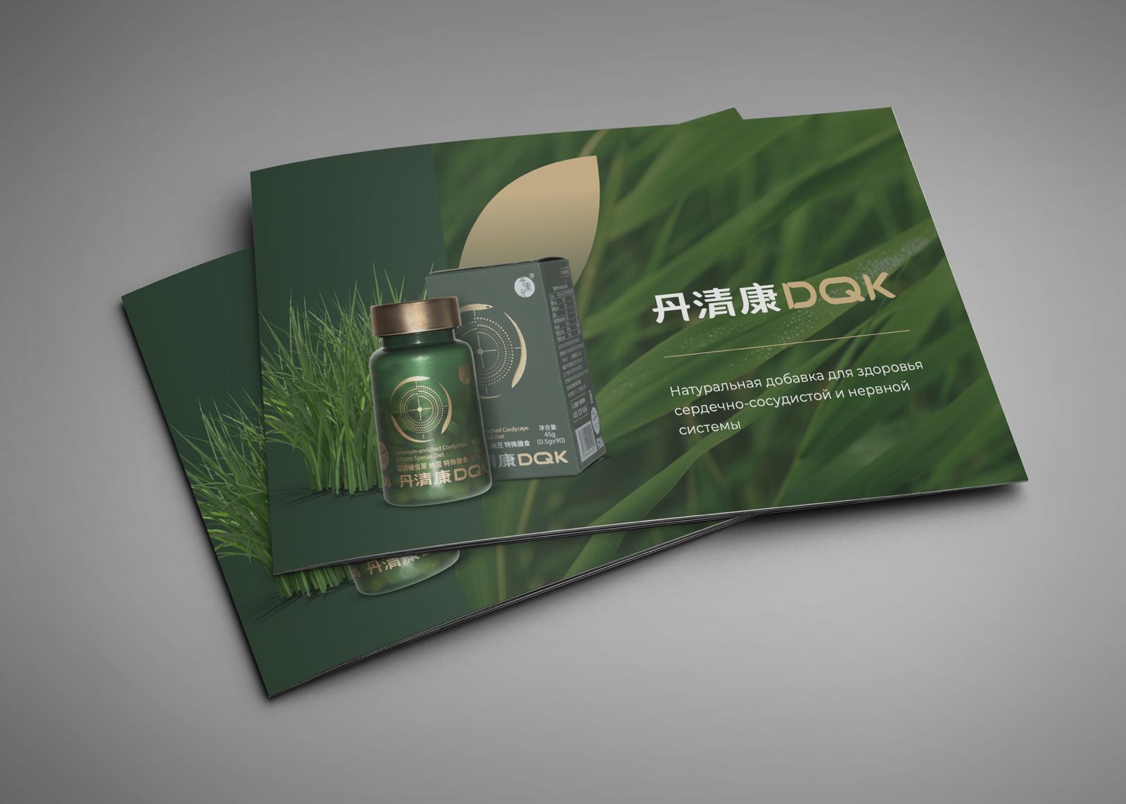 презентация бады